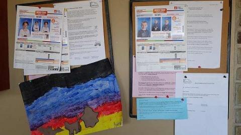 Stingray World '17 - DSC09703.jpg