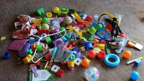 Stingray World '17 - DSC09723.jpg