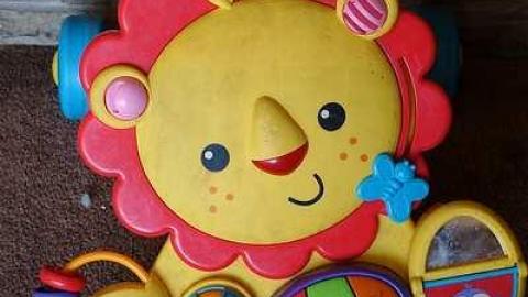 Stingray World '17 - DSC09726.jpg