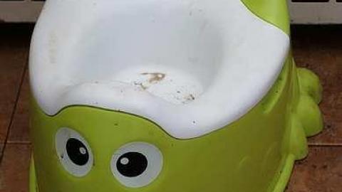 Photo from Stingray World '17