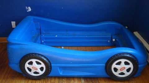 Photo from Stingray World '17