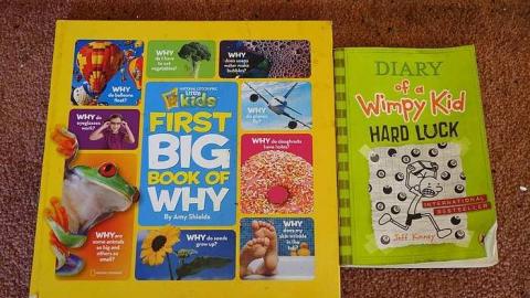 Stingray World '17 - DSC09768.jpg