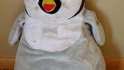 Stingray World '17 - DSC09777.jpg