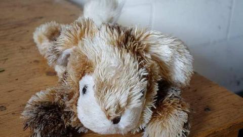 Stingray World '17 - DSC09788.jpg