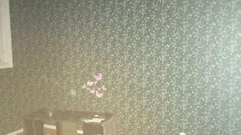 Flea House - IMG_0852.jpg