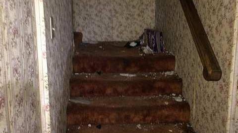 Flea House - IMG_4306.jpg