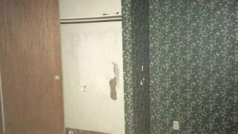 Flea House - IMG_0853.jpg