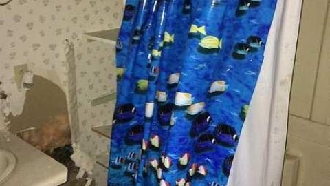 Flea House - IMG_4275.jpg