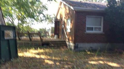 Open Windows - IMG_3848.jpg