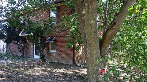 K-9 Unit '17 - Outlet-Farm42.jpg