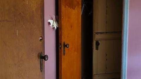 K-9 Unit '17 - Outlet-Farm37.jpg