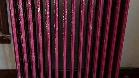 K-9 Unit '17 - Outlet-Farm38.jpg