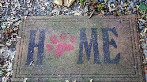 K-9 Unit '17 - Outlet-Farm40.jpg