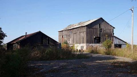 K-9 Unit '17 - Outlet-Farm49.jpg