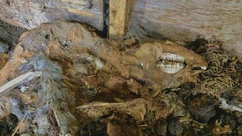 Anderson - Another-on-Anderson3.jpg