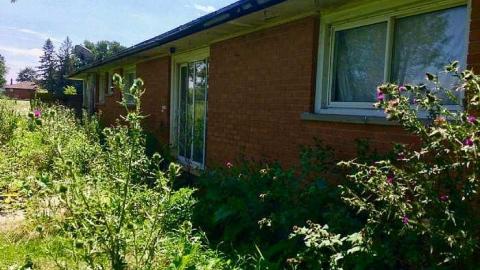 Anderson - Another-on-Anderson5.jpg