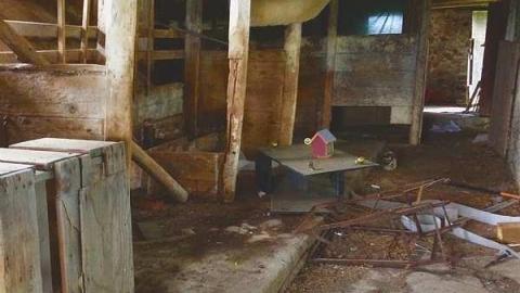 Bridle Barn - Someones-been-living-here155.jpg