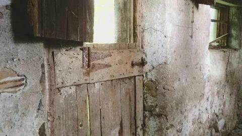 Photo from Bridle Barn