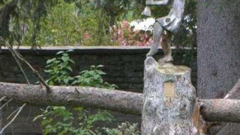 Sir Wm Mackenzie Inn - Sir-Wm-MacKenzie-Inn,-Kirkfield22.jpg