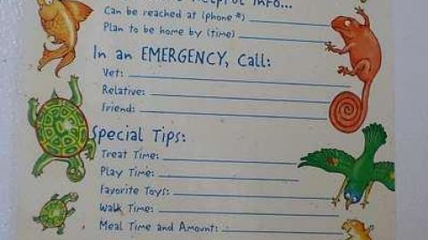 Teddi's Tickler '17 - Out-(let)-House41.jpg