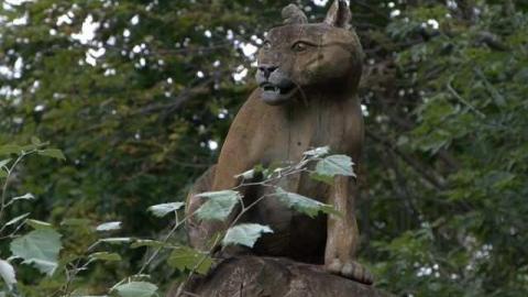 Sir Wm Mackenzie Inn - Sir-Wm-MacKenzie-Inn,-Kirkfield24.jpg