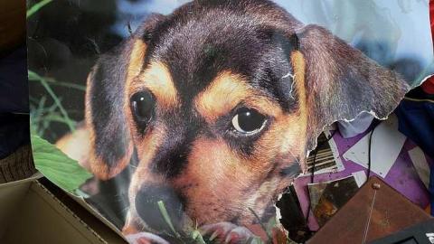 Teddi's Tickler '17 - Out-(let)-House31.jpg