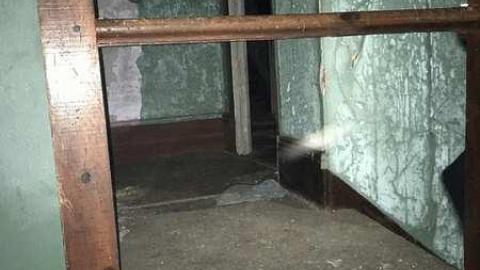 Photo from Brook Hill