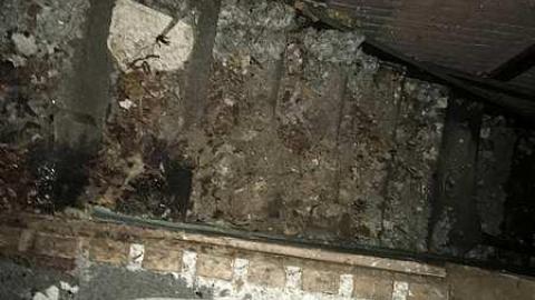 Brook Hill - Brook-Hill-Home205.jpg