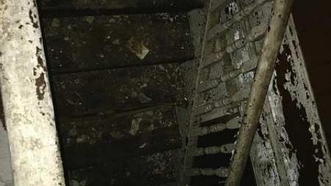 Photo from Brook Hill