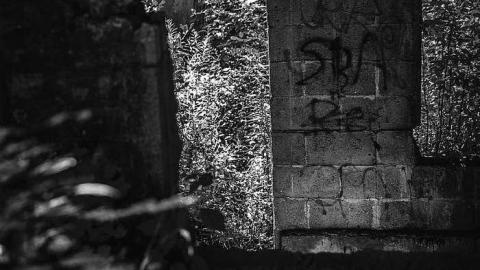 August 13, 2017 - Darnley-Mill-Crooks-Hollow287.jpg