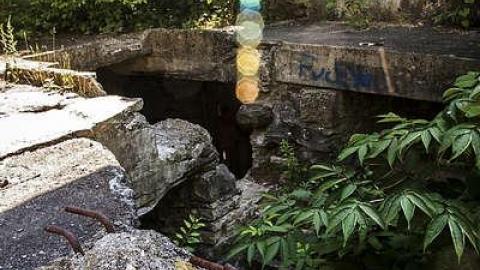 August 13, 2017 - Darnley-Mill-Crooks-Hollow288.jpg