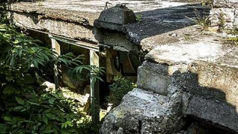 August 13, 2017 - Darnley-Mill-Crooks-Hollow291.jpg