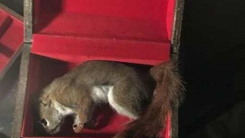 Outdated Bungalow - Regional-Road-57-80s-Bungalow64.jpg