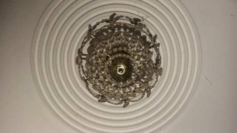 Outdated Bungalow - Regional-Road-57-80s-Bungalow157.jpg