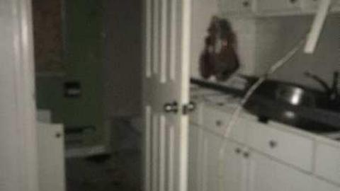 Boarded Up - IMG_4214.jpg