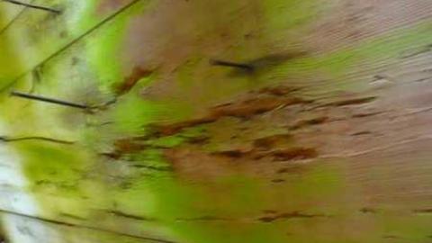 Centurion - Centurion-(ghost-town)14.jpg