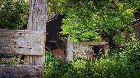 Heart Lake Gem (2016) - Latched-Into-Darkness3.jpg