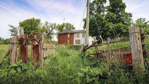 Heart Lake Gem (2016) - Latched-Into-Darkness6.jpg