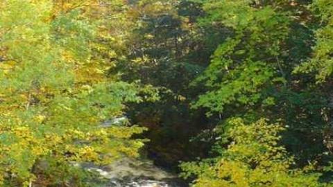 Hoodstown - Muskoka-s-Lost-Ghost-Towns7.jpg