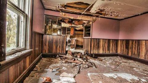 For As Long As I Can Remember - Primrose_hwy10-3.jpg