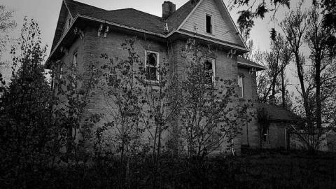 For As Long As I Can Remember - Primrose_hwy10-15.jpg