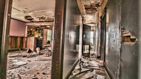 For As Long As I Can Remember - Primrose_hwy10-21.jpg