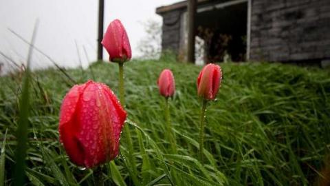 Bare Bones - Melancthon-(ghost-town)22.jpg