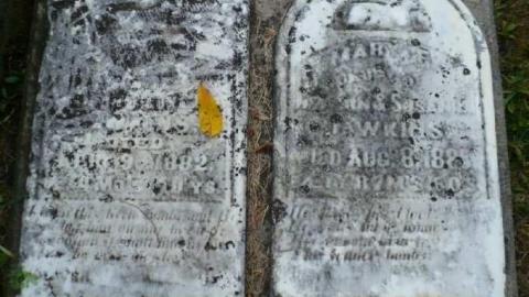 Reesor Cemetery - School-Section-215.jpg