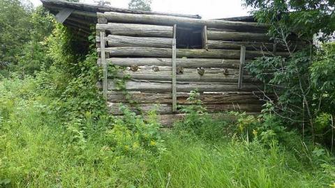 Schenk Farm - Donald-Schenk-farm57.jpg