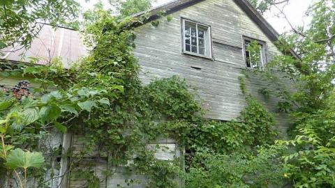 Schenk Farm - Donald-Schenk-farm103.jpg