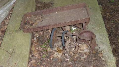 Photo from Schenk Farm