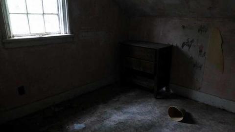 Schenk Farm - Donald-Schenk-farm64.jpg