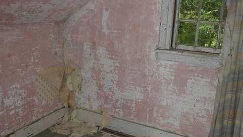 Schenk Farm - Donald-Schenk-farm65.jpg