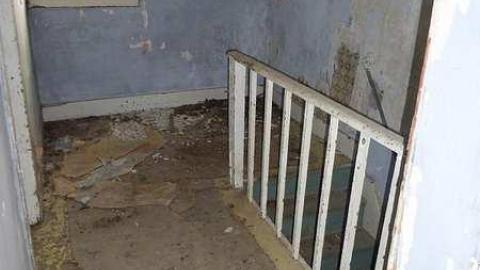 Schenk Farm - Donald-Schenk-farm111.jpg